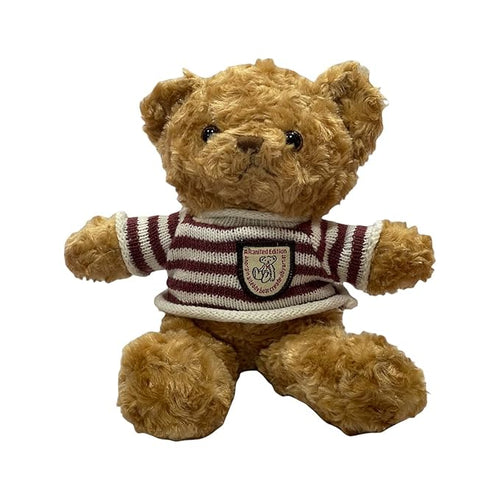 Soft T-shirt Teddy Bear (12pcs)